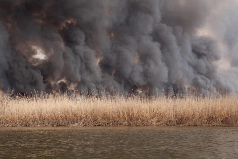 Что дымится на границе Узбекистана с Афганистаном