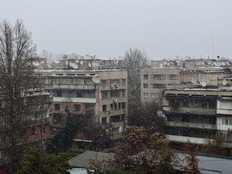 Погода в Ташкенте 11 марта: снег, туман и +4°