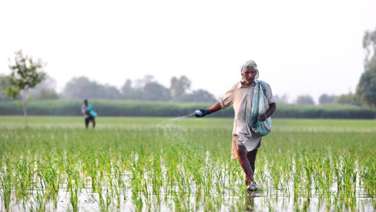 ADB Study Urges India to Phase Out Universal Subsidies, Target Benefits Better