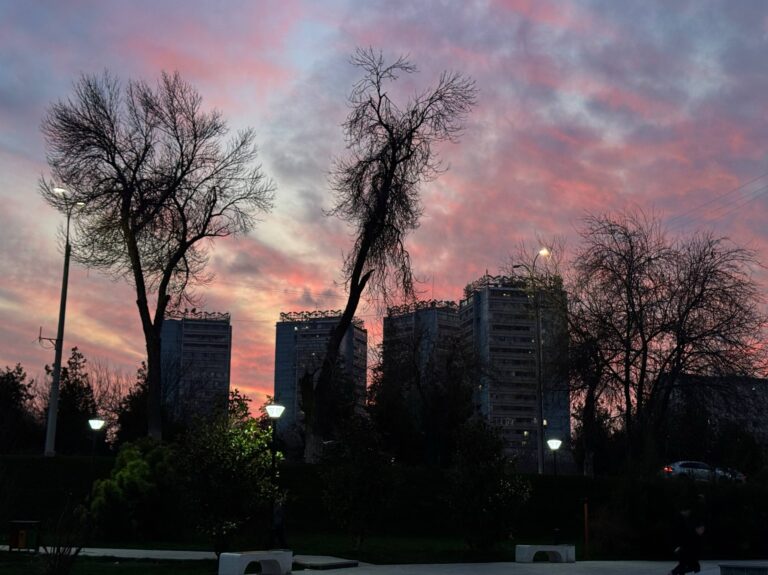 Погода в Ташкенте 7 марта: переменная облачность и утренний дождь