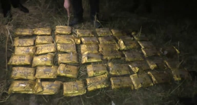 Xorijdan olib kelingan sintetik narkotik va kuchli ta’sir qiluvchi dorilar to‘xtatib qolindi