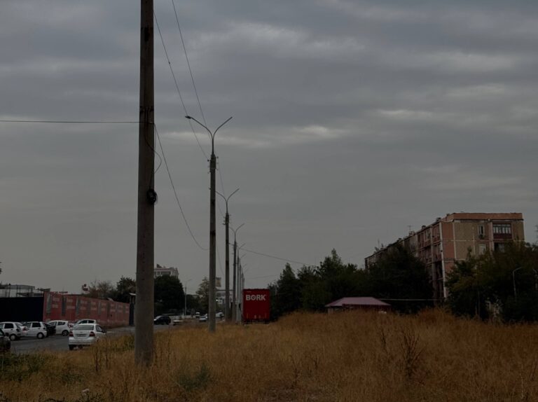 Погода в Ташкенте 19 марта: переменная облачность и дождь