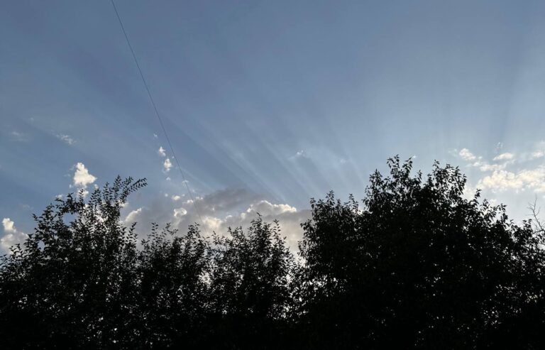 Сухо и до +27°: погода в Ташкенте на 26 марта