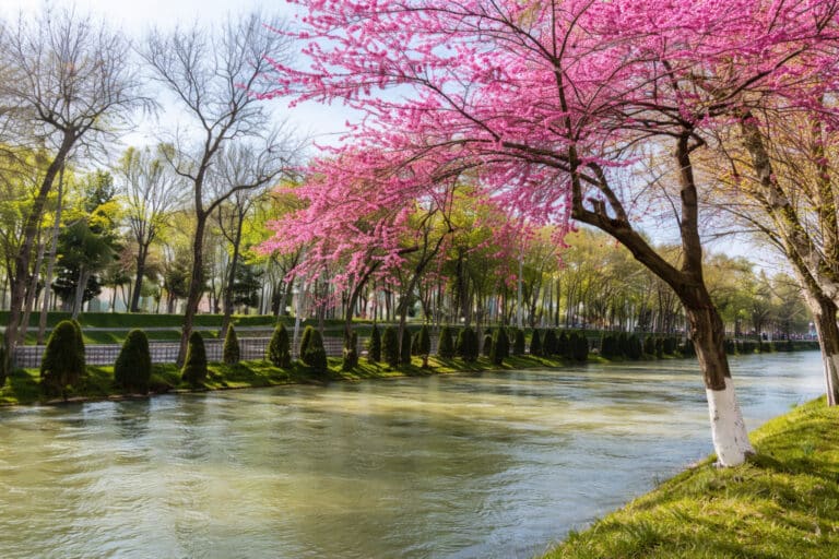 1-apreldan O‘zbekistonda nimalar o‘zgaradi