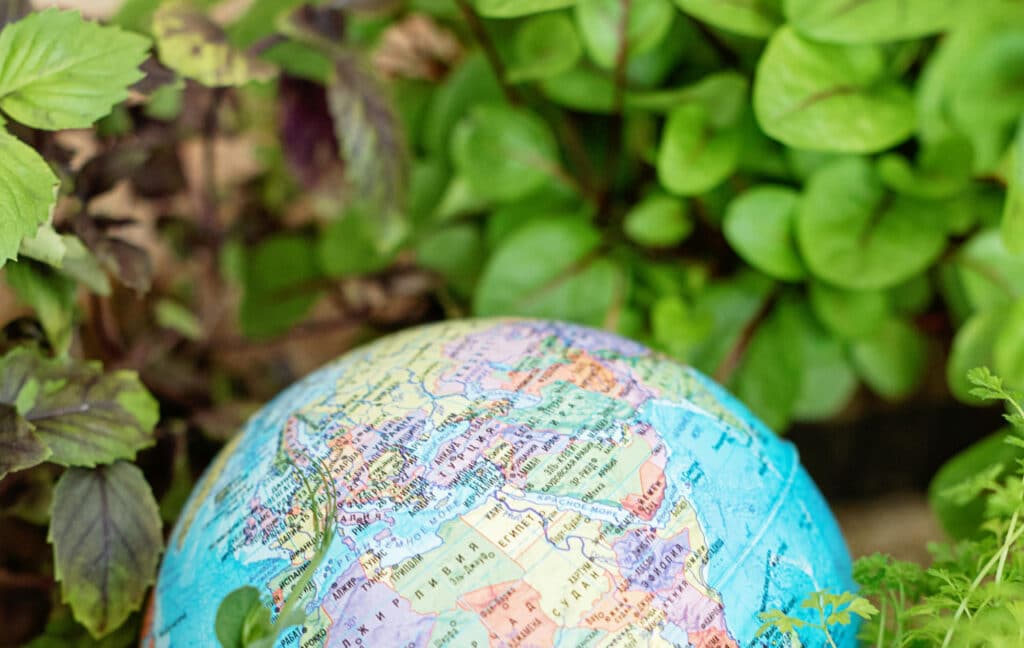 O‘zbekistonning barcha hududlarida 14 ta «yashil» texnikum tashkil etiladi