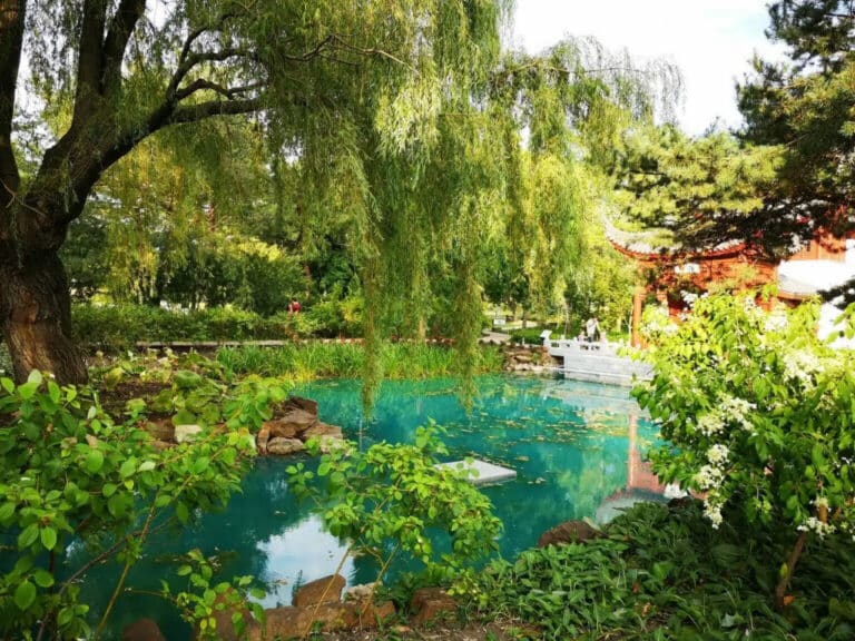 Без шуток: Ботанический сад закроют для самокатов и велосипедов с 1 апреля