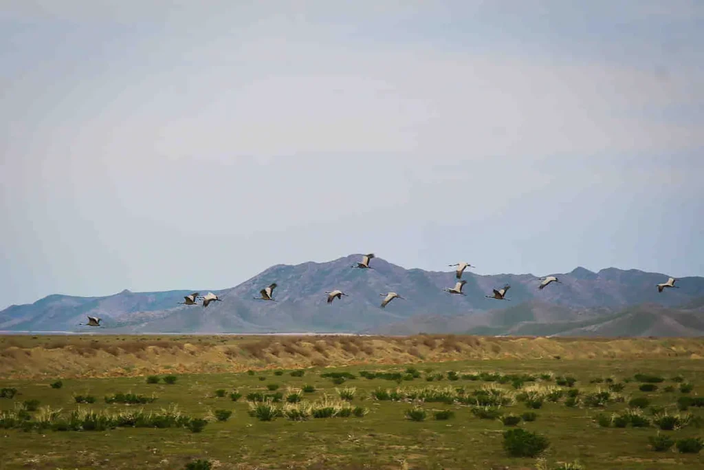Природные парки Узбекистана
