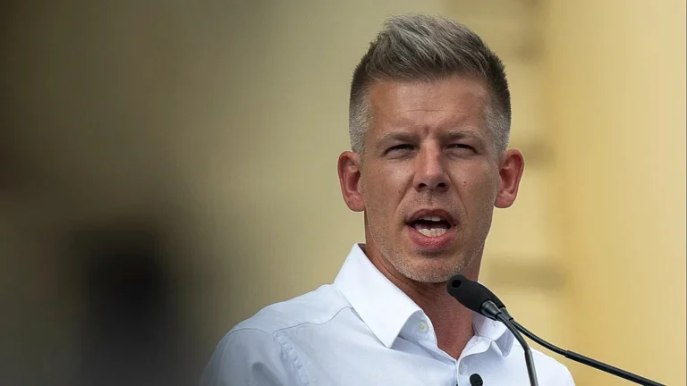 138 мандатов против 55: партия Петера Мадьяра разгромила блок Орбана на выборах в Венгрии