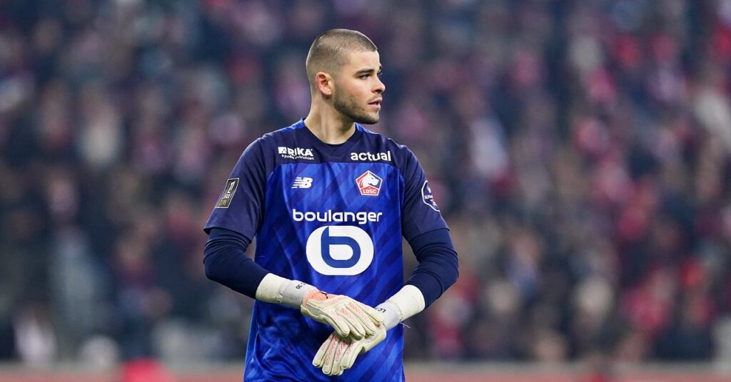 Фото: Meta Ratings