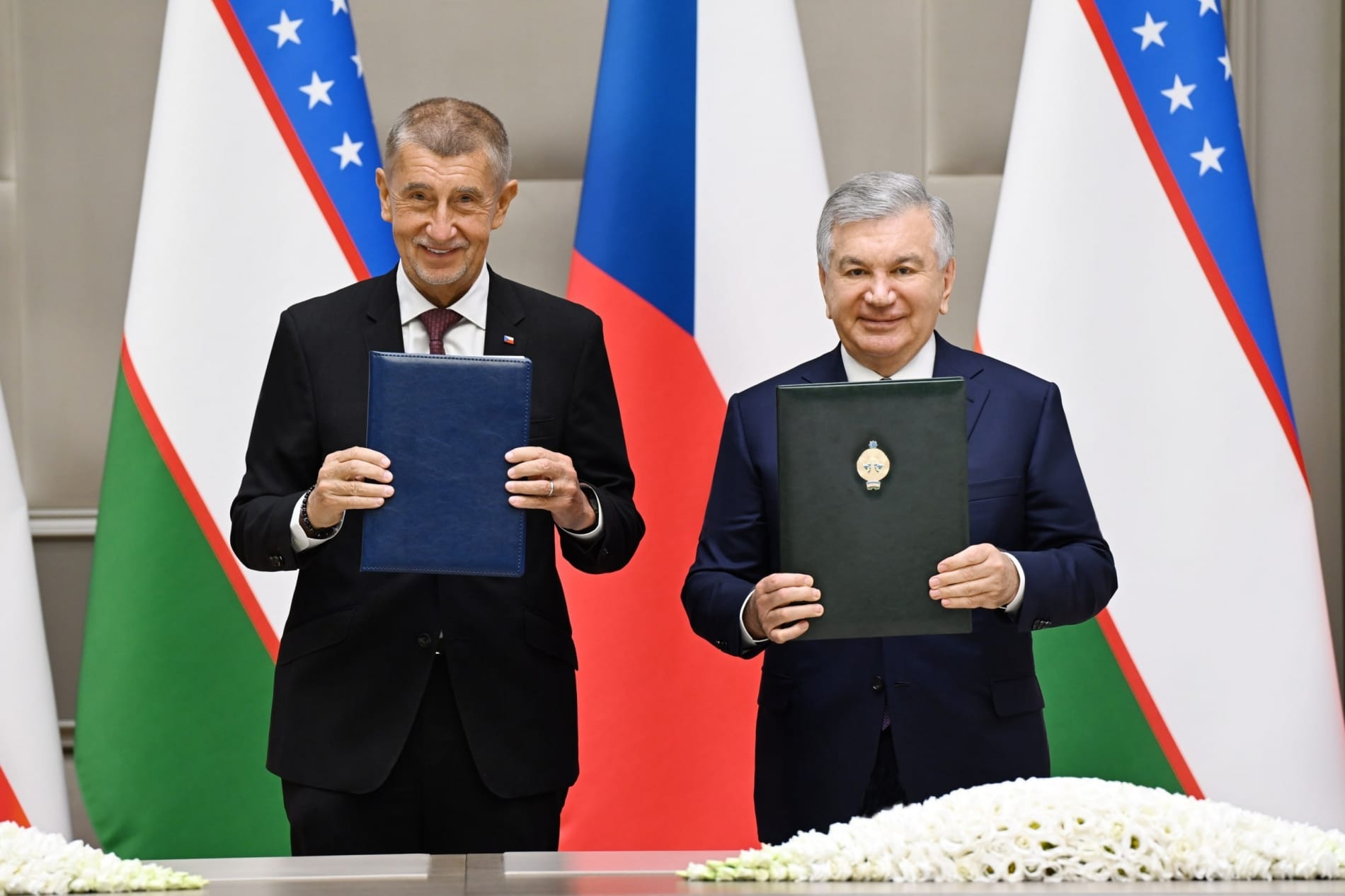 Встреча Мирзиёева и Бабиша
