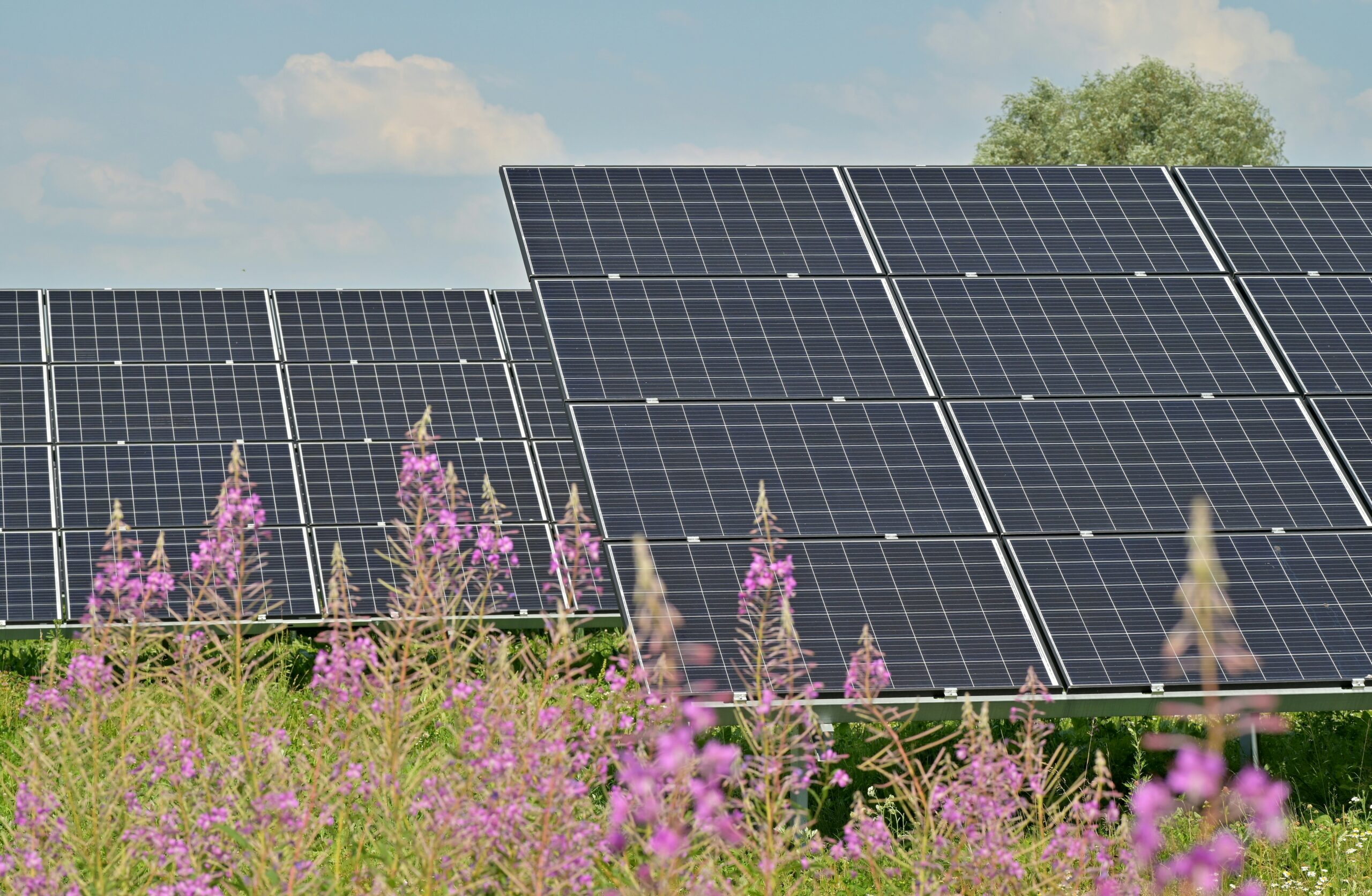 $1.2 Bn Solar Boost: ADB Bankrolls Central Asia’s Green Revolution