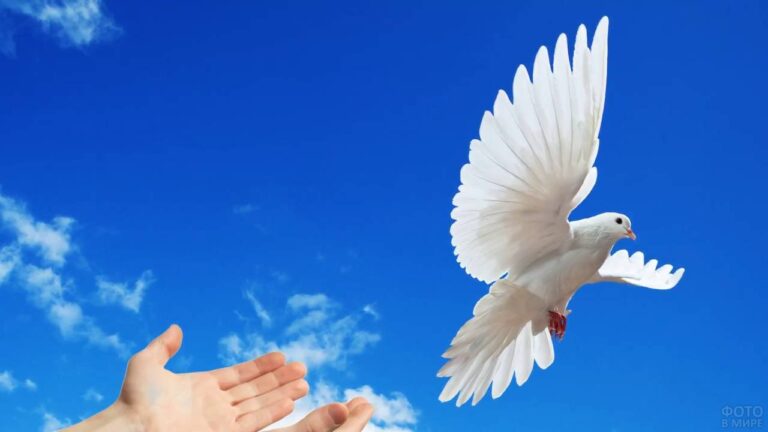 Открытки с Благовещением Пресвятой Богородицы — красивые поздравления к 7 апреля