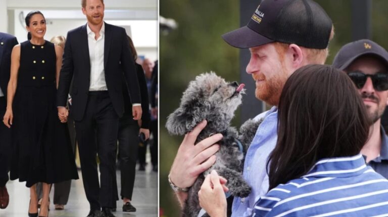 UK Poll Shows Strong Opposition to Harry and Meghan Monetising Royal Titles