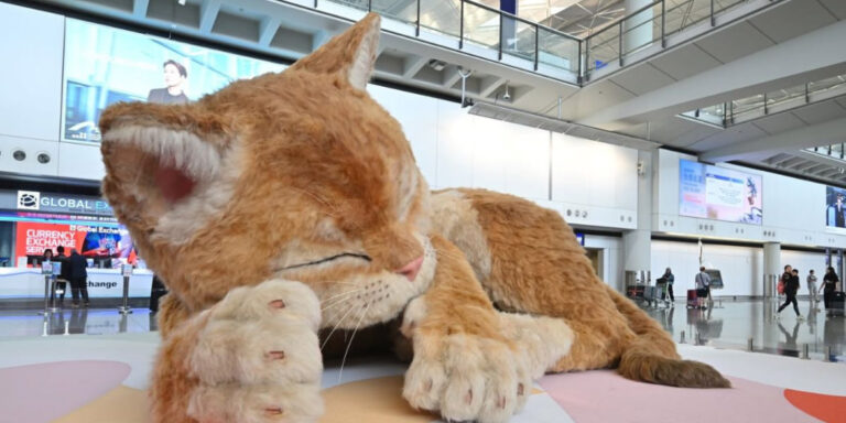 Gonkong aeroportida miyovlaydigan 8 metrli ulkan mushuk o‘rnatildi — foto