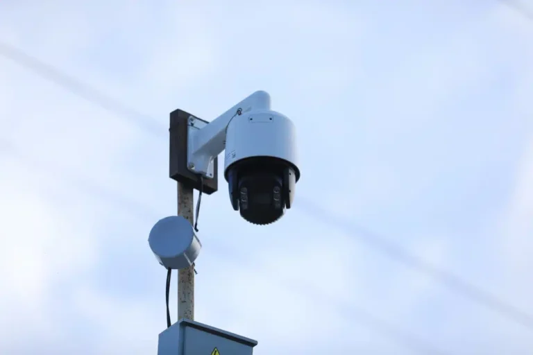 O‘zbekistonda 1-apreldan buyon 22 mingdan ziyod haydovchi 5 jarima bali to‘pladi