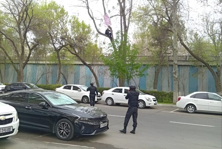 В Ташкенте недовольный приговором мужчина залез на дерево у Верховного суда