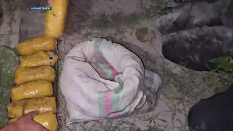 Farg‘onada giyohvandlik vositalari savdosi bilan shug‘ullangan shaxslarga sud hukmi o‘qildi