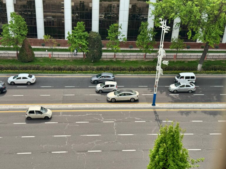 Штрафы реальному водителю: в Узбекистане запустили онлайн-передачу прав на авто