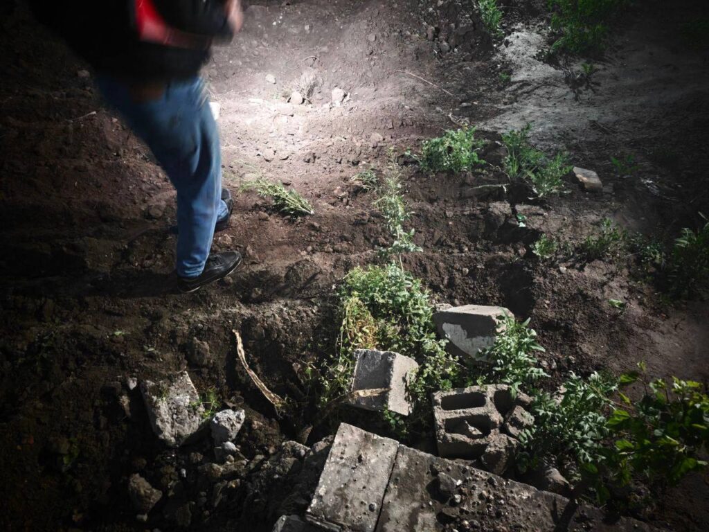 В Бухаре застройщика оштрафовали почти на 90 млн сумов за уничтожение деревьев