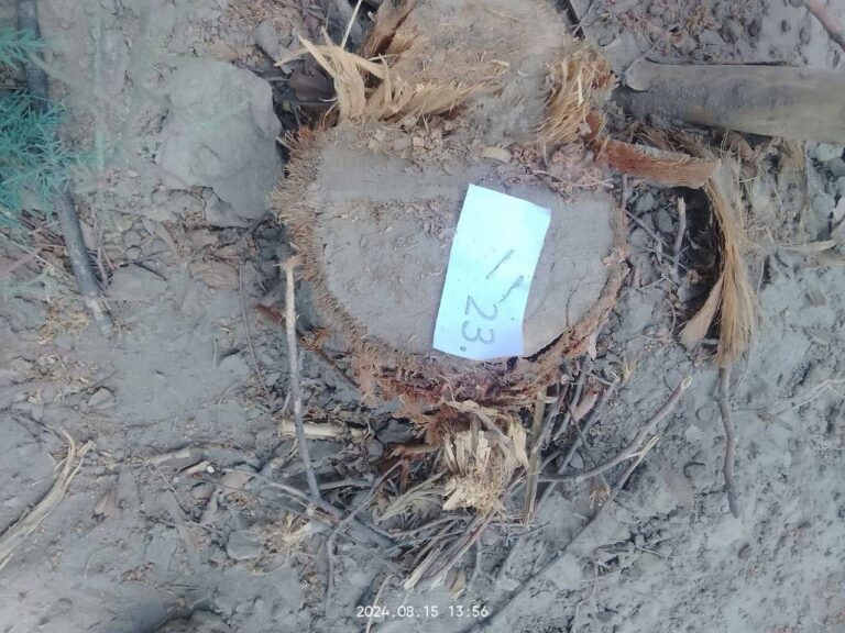 Buxoroda ekologiyaga 1,3 mlrd so‘mlik zarar keltirgan yuridik shaxs aniqlandi