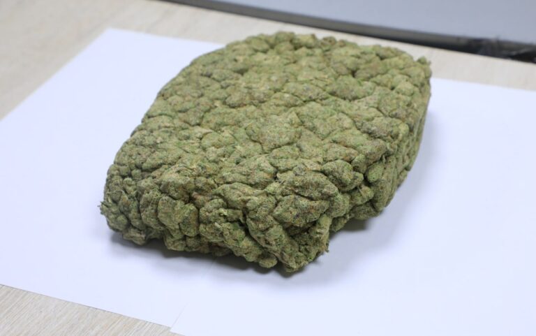 Тайский «сувенир» не прошел таможню: иностранец привез в Ташкент 6 кг марихуаны