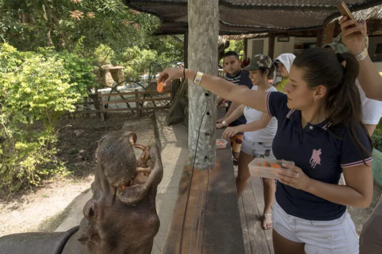 Kolumbiya Eskobar begemotlarini yo‘q qilishni ma’qulladi