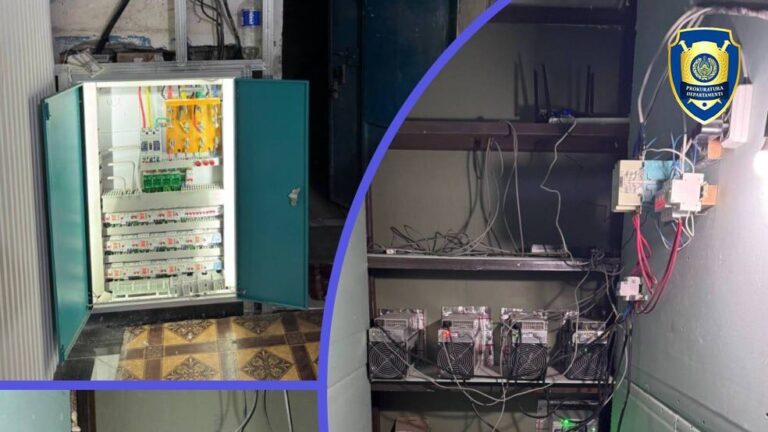 Samarqanddagi uyning yerto‘lasida yashirin mayning ferma topildi