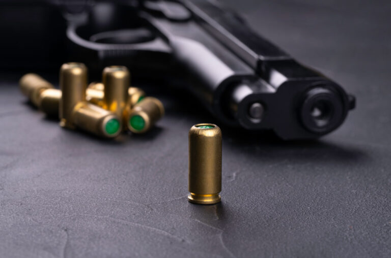 AQShda erkak sakkiz bolani otib o‘ldirdi