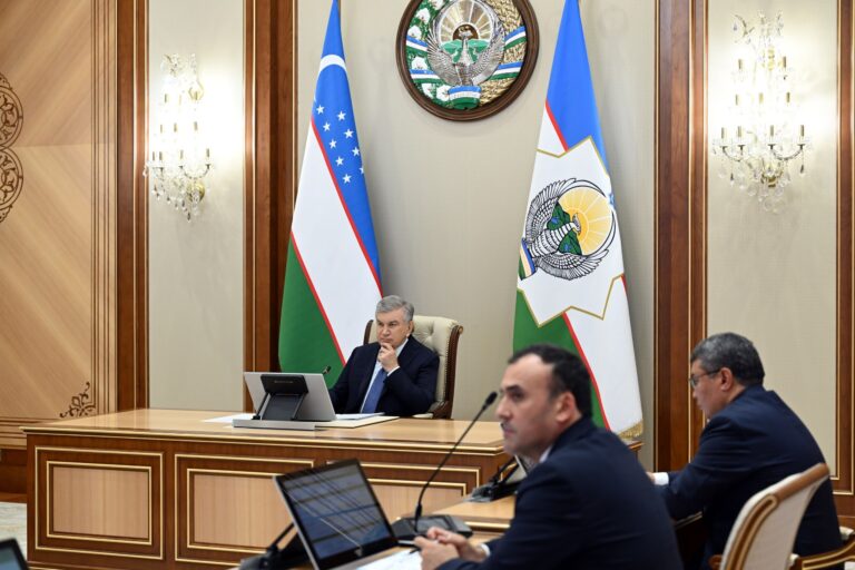 2026-yilda qo‘shimcha 100 ming gektar yer yangi tartibda auksionga chiqariladi