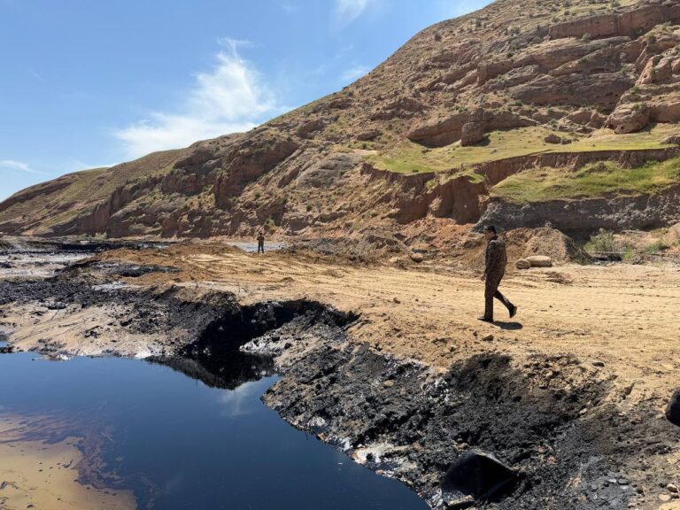 Boysundagi neft oqimi ekologiyaga 8,5 milliard so‘mdan ortiq zarar keltirdi