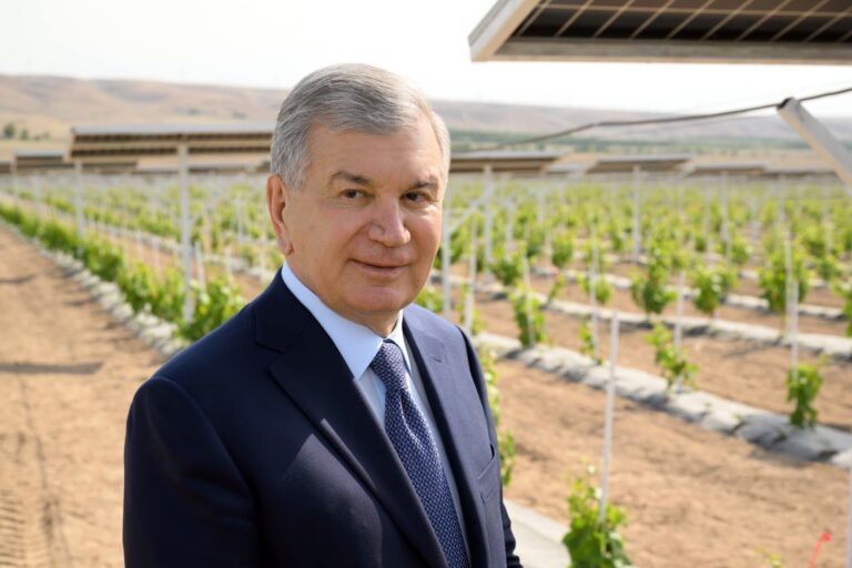 O‘zbekistonda agrovoltaika orqali 10 gigavattgacha «yashil» energiya yaratish rejalashtirilmoqda