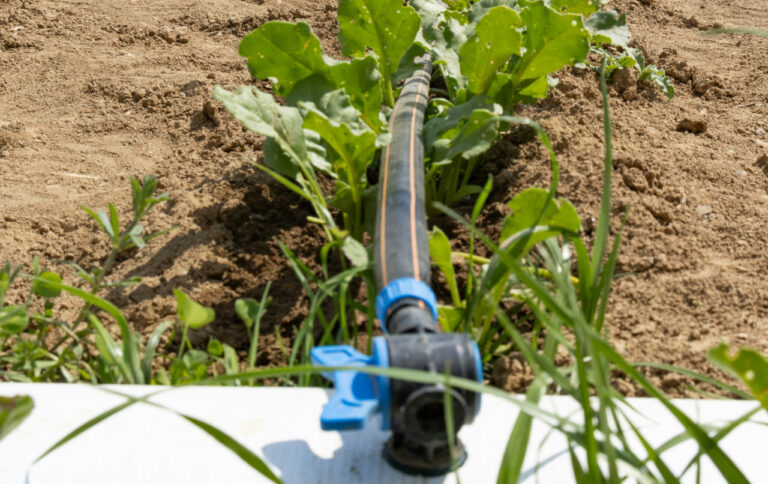 Suvni tejaydigan texnologiyalarni joriy etganlik uchun subsidiya beriladi