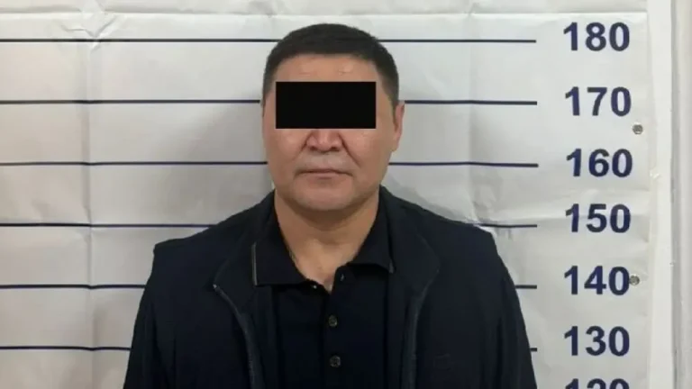 Qamchibek Tashiyevning akasi Qirg‘izistonga 46 mln dollar qaytaradi