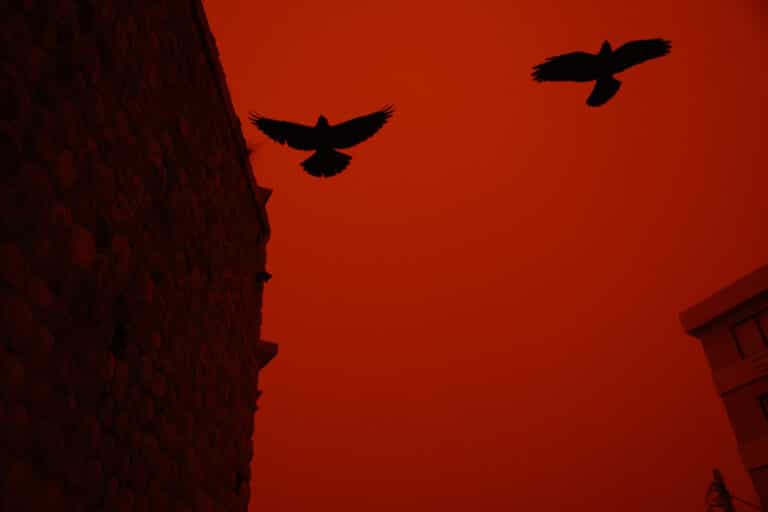 Песчаная буря накрыла Крит: небо окрасилось в красный цвет