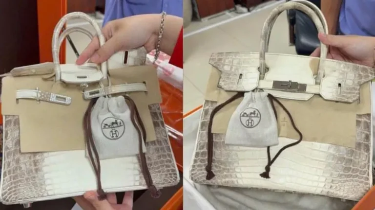 Jailed Vietnamese Tycoon's Seized Birkin Bags Auctioned for Over $535K