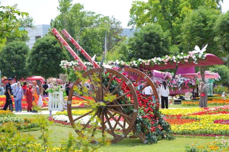 Концерты и миллионы цветов: стартовал Tashkent Flowers Fest — фоторепортаж