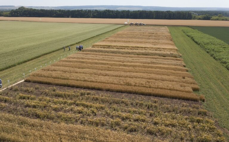 В Узбекистане упростят оформление прав на самовольно занятые земельные участки