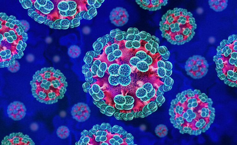 Uzbekistan Reports no Hantavirus Cases, Health Officials Say