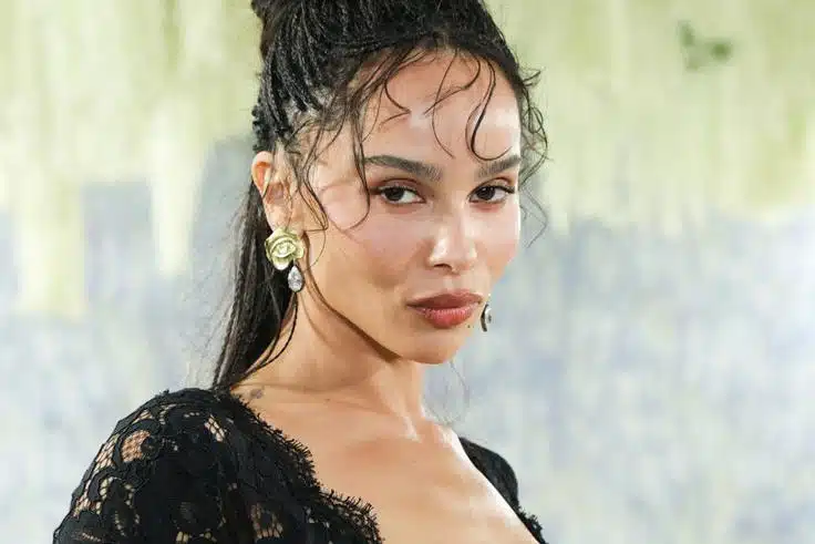 Zoe Kravitz Criticizes Hulu Over Harry Styles Reference in 