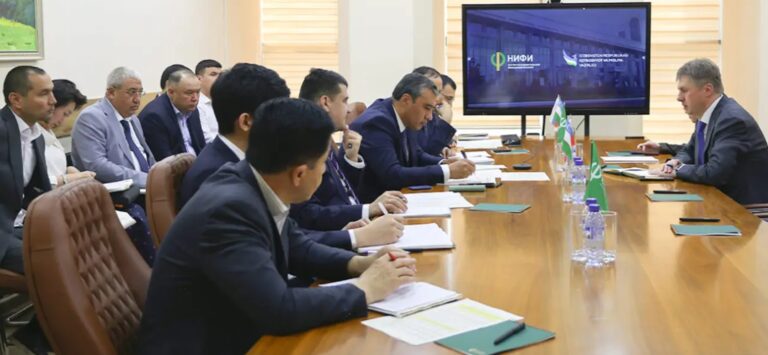 More Than 678,000 Uzbek Borrowers Improve Credit Standing after Reforms
