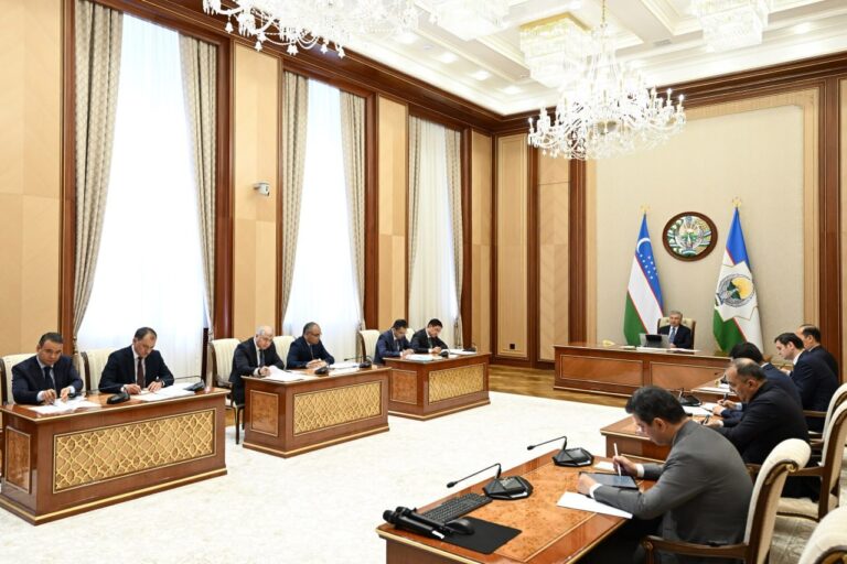 2028-yilgacha 168 ming gektar sanoatlashgan bog‘ va tokzorlar barpo etiladi
