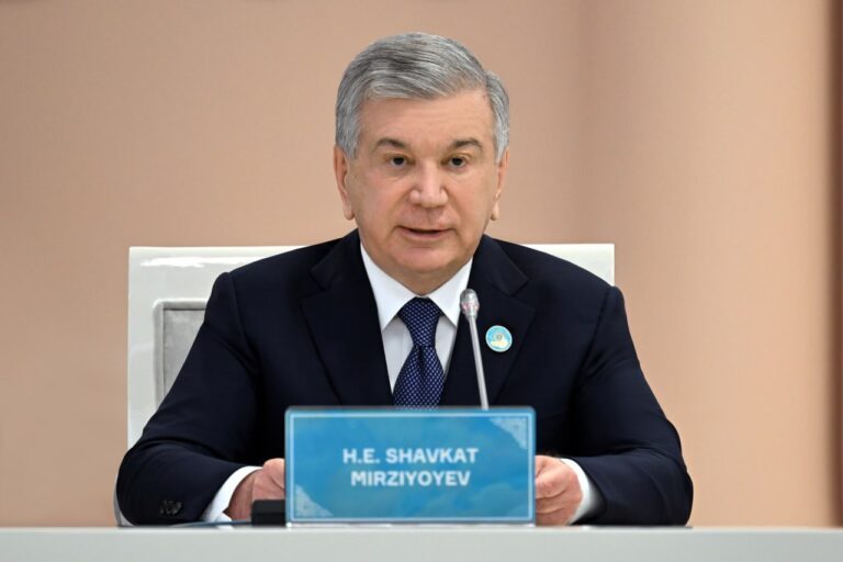 Mirziyoyev TDT sammitida 2027-yilni “Tabiatni asrash yili” deb nomlashni taklif qildi