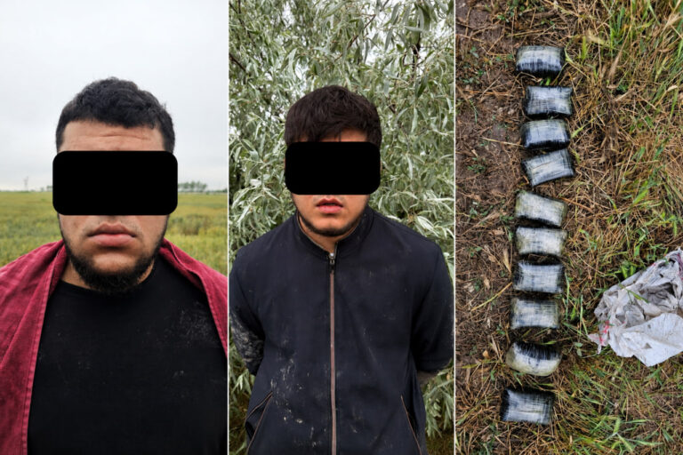 Toshkent viloyatida 5 kgdan ortiq «opiy» musodara qilindi