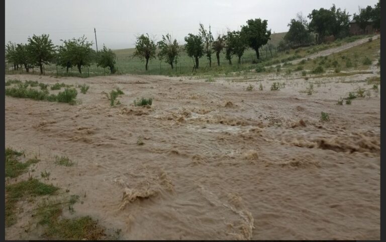 O‘zbekistonning bir necha viloyatlarida kuchli yomg‘ir oqibatida sel keldi