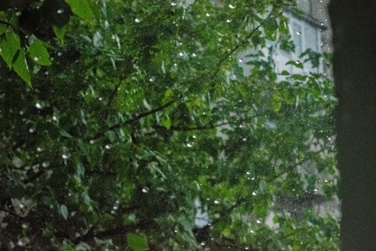 Дождь и до +30°: прогноз погоды в Ташкенте на 26 мая