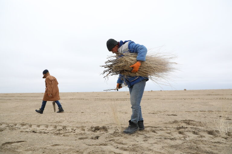 UNDP Highlights 30 Years of Partnership Supporting Uzbekistan’s Green Development