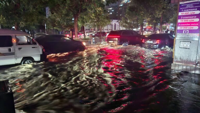 Toshkent suv ostida: kuchli jala oqibatlari (video)