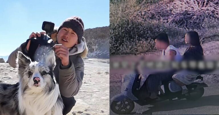 Celebrity Dog Stolen and Eaten in China Sparks Legal Battle and Public Outrage