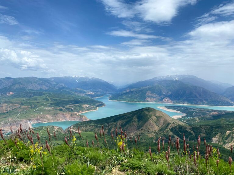 UN Hails Uzbekistan's Green Development but Warns of Ongoing Pollution Risks