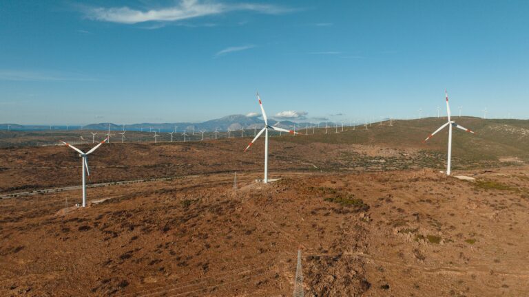 O‘zbekistonda qayta tiklanuvchi energiya ulushi 45,3 foizga oshdi